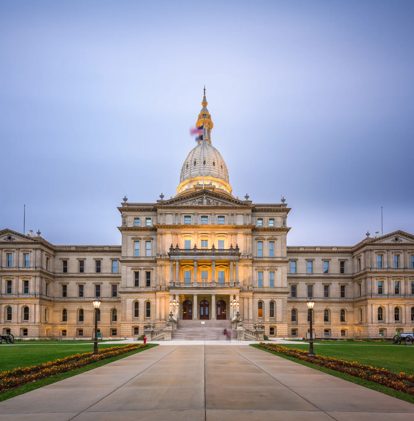 government